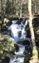 La Savoureuse du Rummel à l'Etang du Petit Haut